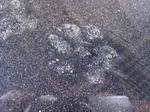 080419_02.jpg