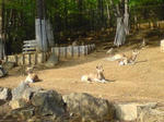 080506_06.jpg