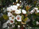 IMG_3292.jpg