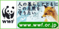 世界最大の自然保護ＮＧＯ。生態系の保全から地球温暖化防止まで、生物多様性の保全に幅広く取り組む。
