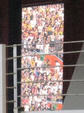 080906_o_02.jpg