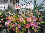 080906_o_04.jpg