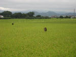 080900_01.jpg