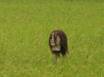 080900_02.jpg