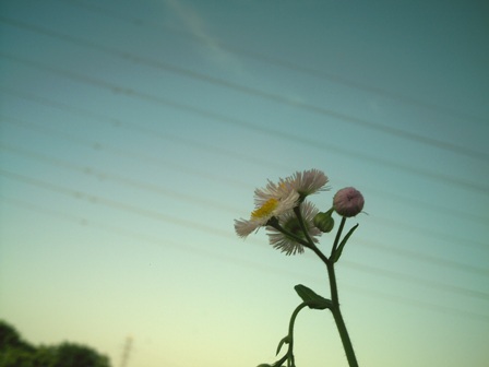 pict0089_re2.jpg