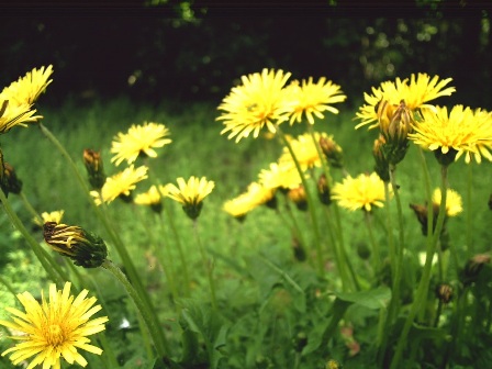 pict0020_re2.jpg