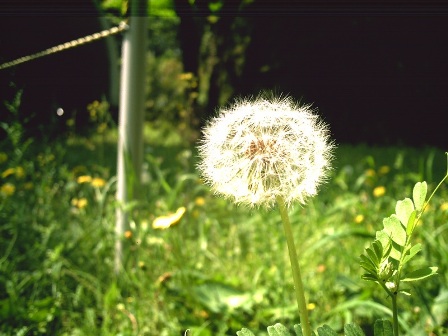 pict0029_re2.jpg