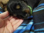 DSCN2098.jpg