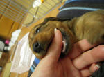 DSCN2104.jpg