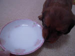 DSCN2172.jpg