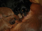 DSCN2243.jpg