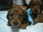 DSCN2315.jpg