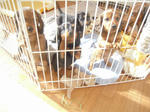 DSCN2376.jpg