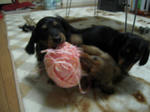 DSCN2368.jpg