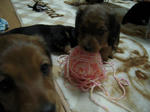 DSCN2369.jpg