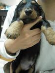 DSCN2389.jpg