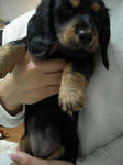 DSCN2380.jpg