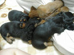 DSCN2397.jpg