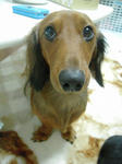 DSCN2400.jpg