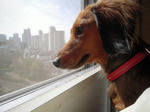 DSCN2540.jpg