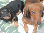 DSCN2529.jpg