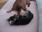 DSCN2401.jpg