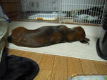 DSCN2446.jpg