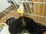 DSCN2451.jpg