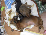 DSCN2450.jpg