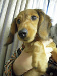 DSCN2953.jpg