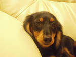 DSCN2978.jpg