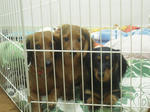 DSCN2994.jpg