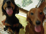 DSCN3387.jpg