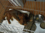 DSCN3395.jpg