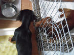 DSCN3393.jpg