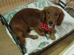 DSCN3408.jpg