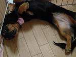 DSCN3416.jpg