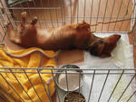 DSCN3405.jpg