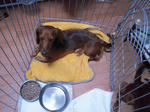 DSCN3432.jpg