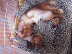 DSCN3440.jpg