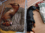 DSCN3447.jpg