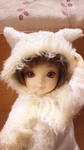 PAP_0074.JPG