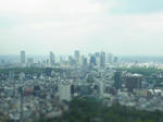 RIMG0319.JPG
