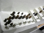 RIMG0393.JPG