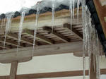 niigata5.JPG