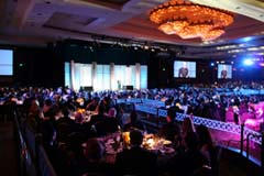 ves2010_2.jpg
