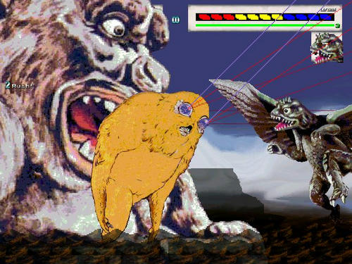fef4fefb.JPG