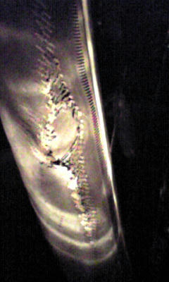 Image180.jpg