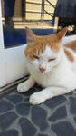 PAP_0046.JPG