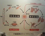 P1000040.JPG